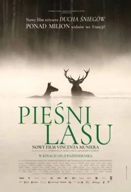 PIEŚNI LASU 2D Nap.